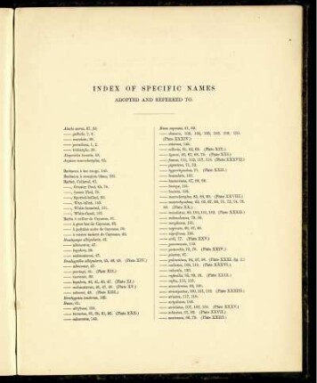 Index of Specific Names Adopted and Referred to.
