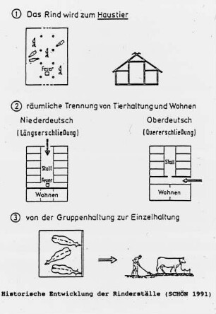 Historische Entwicklung der Rinderställe