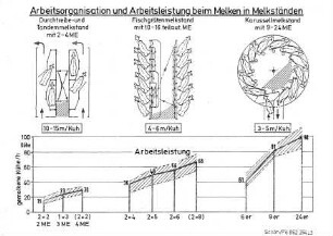Arbeitsorganisation und Arbeitsleistung beim Melken in Melkständen
