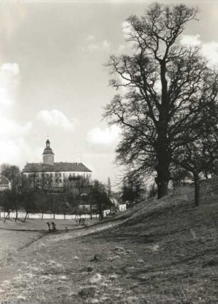 Hirschstein. Schloss Hirschstein von Westen
