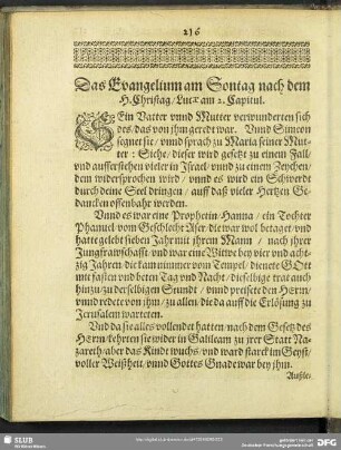 Das Evangelium am Sontag nach dem H. Christag, Lucae am 2. Capitul