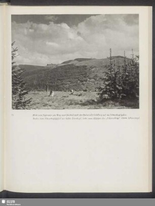 Blick vom Jägerstein am Weg von Oberhof nach der Haltestelle Gehlberg auf das Schneekopfgebiet