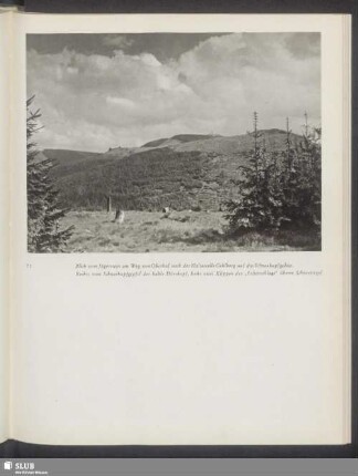 Blick vom Jägerstein am Weg von Oberhof nach der Haltestelle Gehlberg auf das Schneekopfgebiet
