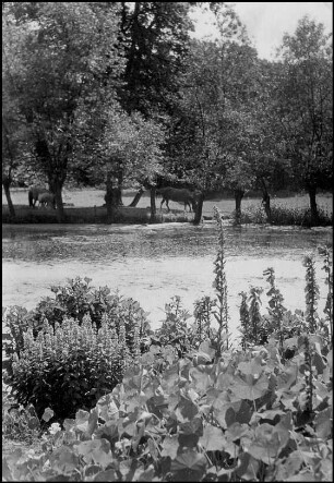 Marienwerder, Gutspark