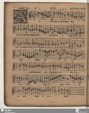 XIV. secunda pars: Aurum sicut regi