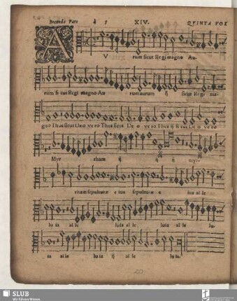 XIV. secunda pars: Aurum sicut regi
