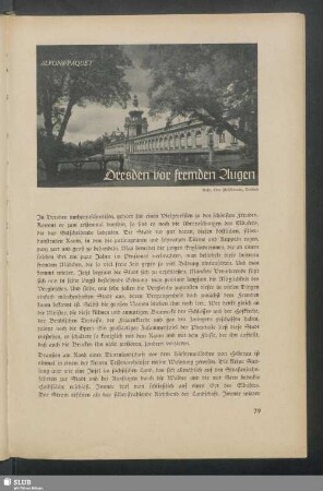 Dresden vor fremden Augen