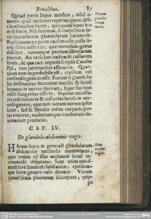 Cap. XV. De glandulis abdominis vagis