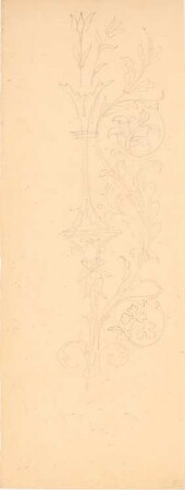 Ornament: Ansicht