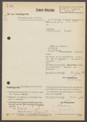 Nikolajew, Wasyl