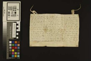 Mainz (St. Stephan): Bischof Iring von Würzburg, Indulgenz