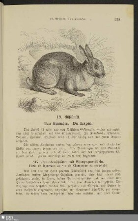 19. Abschnitt. Vom Kaninchen. Du lapin
