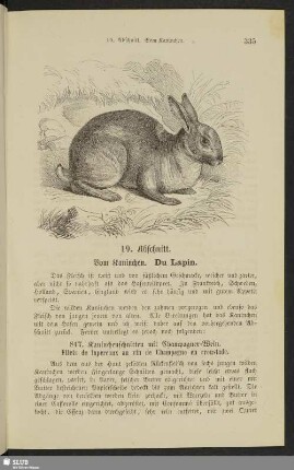 19. Abschnitt. Vom Kaninchen. Du lapin