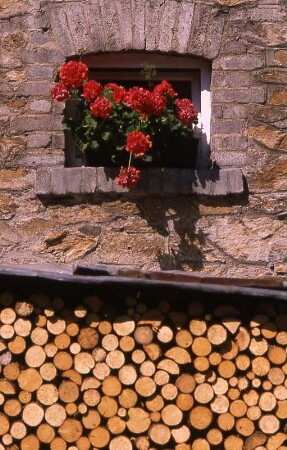 Gestapeltes Holz im Frankenwald