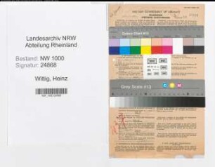 Entnazifizierung Heinz Wittig, geb. 07.09.1913 (Buchhalter)