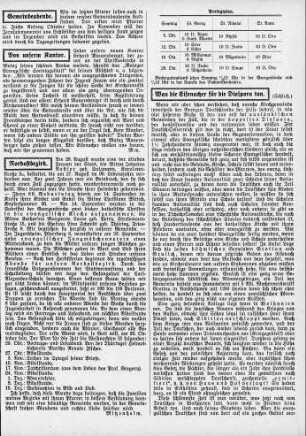 Was die Eisenacher für die Diaspora tun (Schluß) / Nitzsch