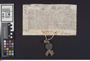 Wimpfen: Papst Clemens XIII. bekundet, daß er für das Stift Wimpfen [... ?]
