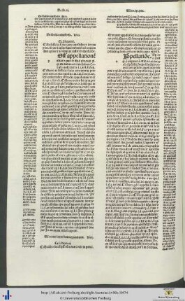 Nihil novari appellatione pendente