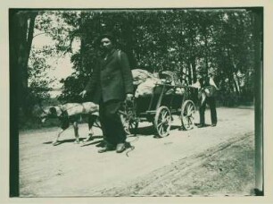 Mann, Hund und Junge mit einem Karren.