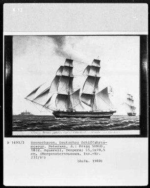 Brigg "Venus"
