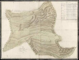Plan über den Herrschafft-Wald im Stillen Wasser, Brodenauer Berg und Birckenbaum-Waeldlein auf dem Kaltenbronnen im Scheuermer Forst
