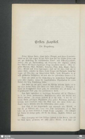 Erstes Kapitel. Die Vergoldung