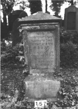 Grabstein 157 (Index: 100081994) Material: Sandstein Zustand: verwittert mit Textverlust Maße HxBxT: 146x63x44 cm Beschreibung: Stele, Sockel, Giebel, rechteckiges Schriftfeld eingetieft: Grabstein 157