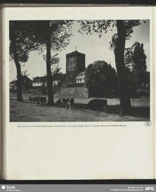 Szene aus Zons