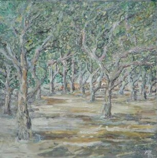 Bouleplatz unter Platanen (Saint-Tropez)