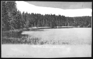 Rehefeld. Wüster Teich