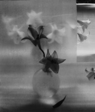 Stilleben. Lilien in Glasvase