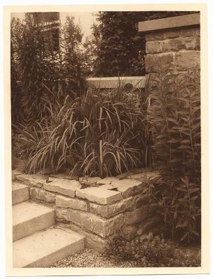 Garten Stier, Potsdam: Treppe und bepflanzte Trockenmauer