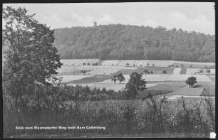 Collmberg. Blick vom Wermsdorfer Weg nach dem Collmberg