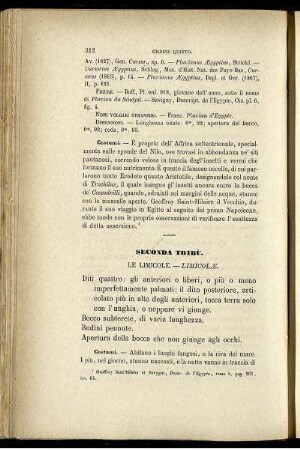 Seconda Tribù. Le Limicole. - Limicolæ.