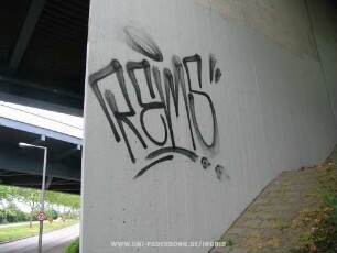 REMS"