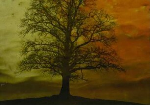 Baum auf einem Möränenhügel