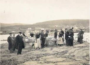 Reykjavík (Island). Touristen beobachten Einheimische bei der Klippfischgewinnung