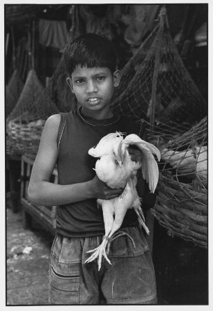 Kalkutta. Junge mit einem Huhn