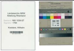 Entnazifizierung Wilhelm Koesters , geb. (Kaufmann)