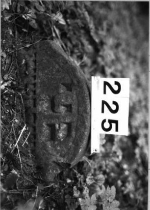 Grabstein 225 (Index: 99803315) Material: Sandstein Zustand: eingesunken/völl. Textverlust Maße HxBxT: 19x46x8 cm Beschreibung: Stele mit Karniesbogen und Inschriftenfeld: Grabstein 225