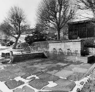 Laufbrunnen und Stellsteinreihe; Michelstadt, Schulbuckel 11, Im mittleren Dorf