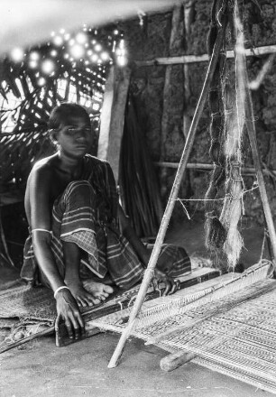 Weberin (Deutsche Indien-Expedition 1926/1929 - 1. Sri Lanka)