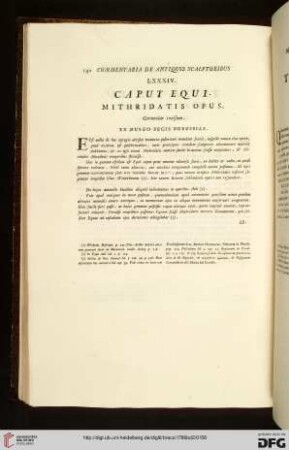 LXXXIV. Caput equi / LXXXIV. Testa di cavallo