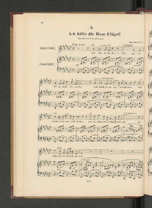 5. Ach hätt die Rose Flügel! [Piano.]