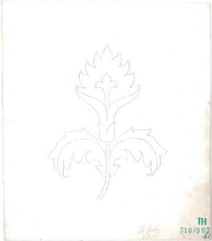 Fischer, Theodor; Studienarbeiten (Pflanzen) - Ansicht