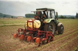 Fotografie: Pflegegerät, Mais, Hackmaschine, Bandspritzung