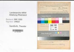 Entnazifizierung Theodor Sandforth, geb. 11.06.1886 (Handwerker)