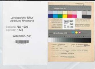 Entnazifizierung Karl Wizemann, geb. 05.07.1913 (Wirtschaftsingenieur)