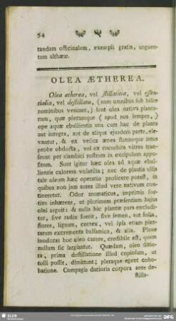 Olea Aetherea