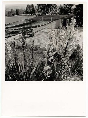 Deutsche Gartenschau 1950 auf dem Killesberg, Stuttgart: Blühende Yucca Pergola